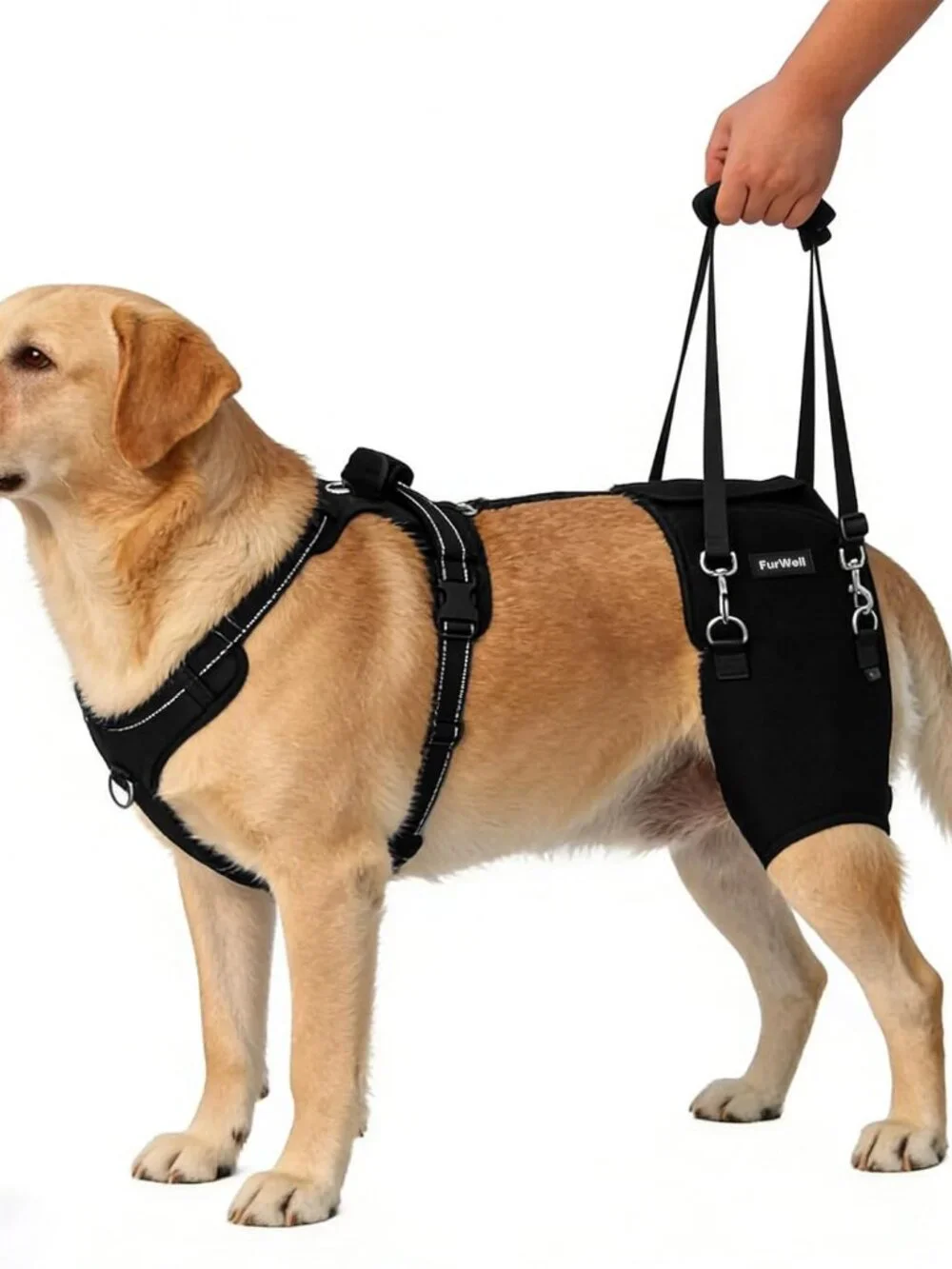 FurWell Dog Hip Brace for Hip Dysplasia & Arthritis